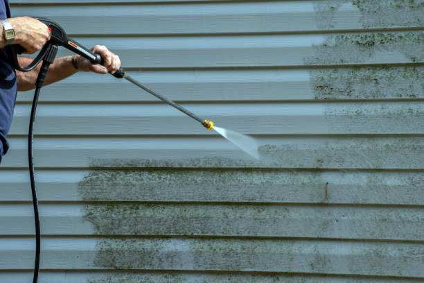 Best Gutter Cleaning  in Sanborn, NY